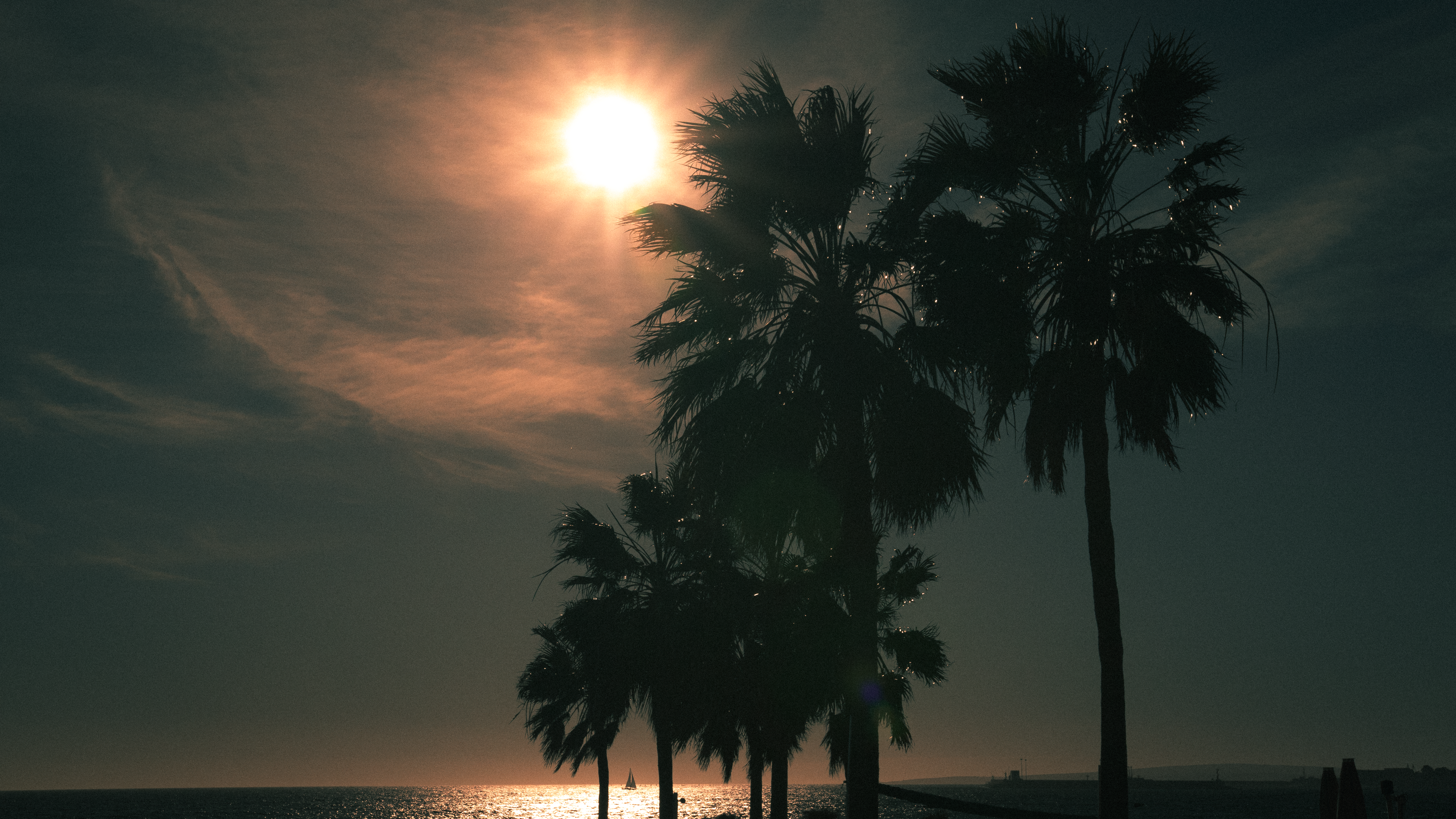 Coastline landscape